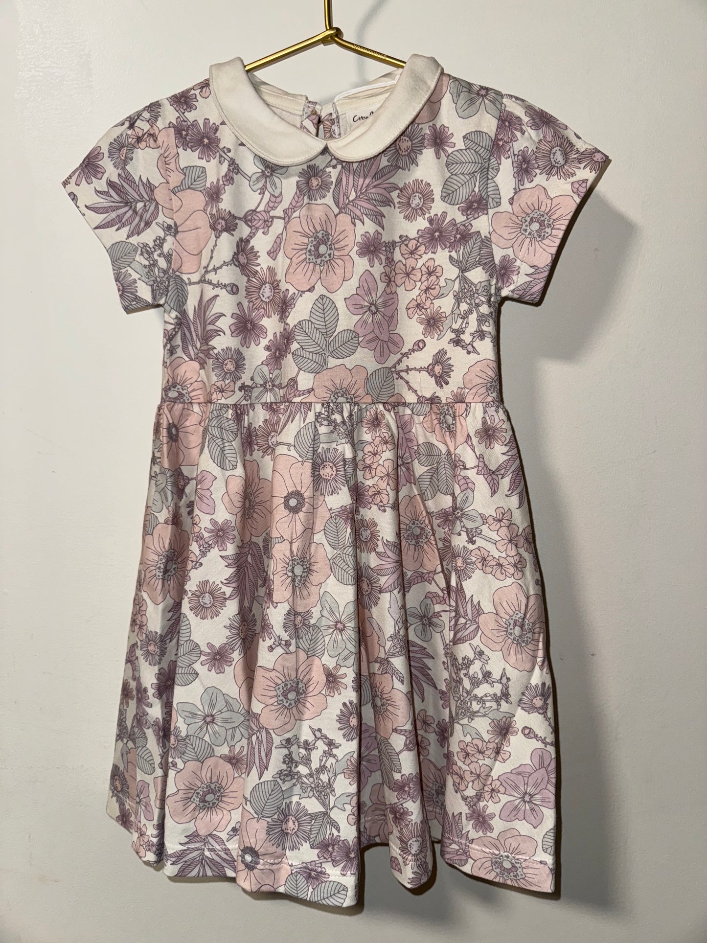 Collar Twirl Dress- Vintage Floral